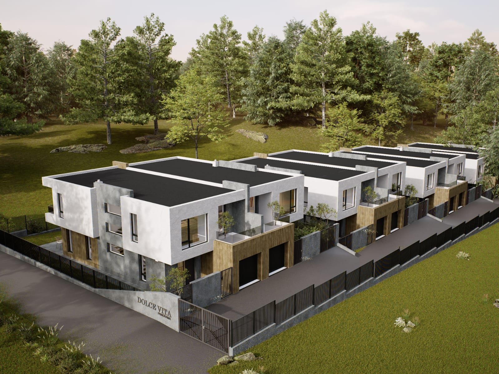 Our New Project Forest